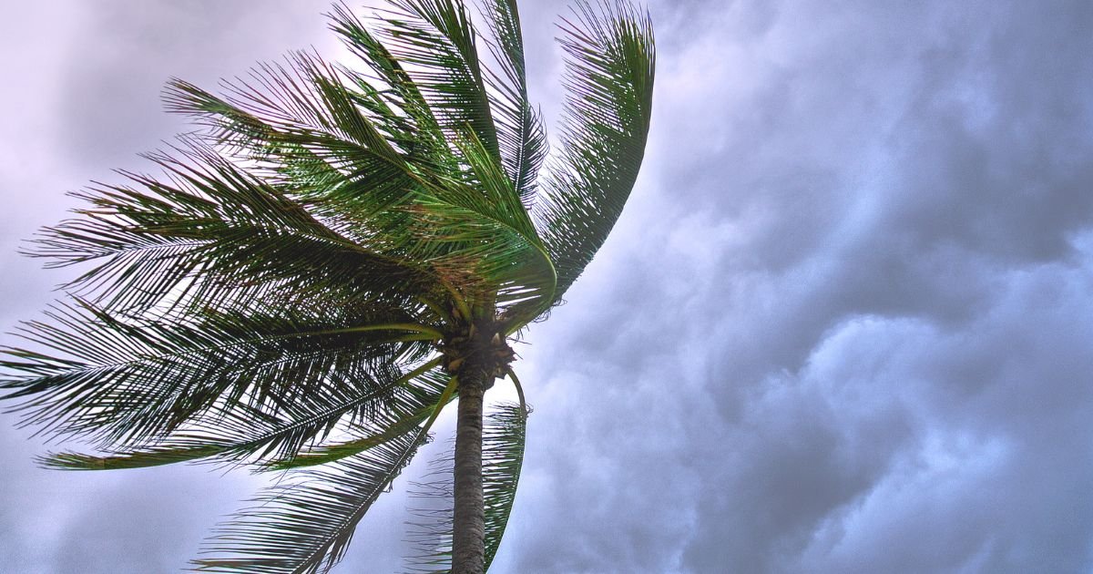 আবহাওয়ার পূর্বাভাস: দেশের ১০ অঞ্চলে ঝড় হতে পারে